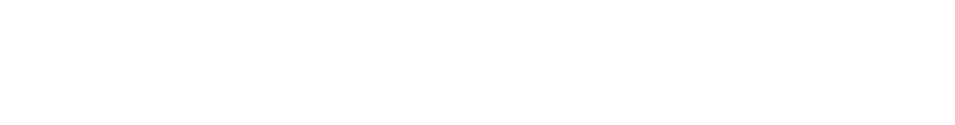 LeandroVSilva LOGO